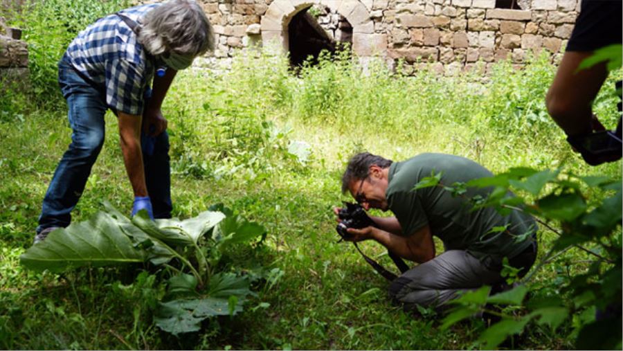 KORAMAZ VADİSİ BİLİM İNSANLARININ ÇEKİM MERKEZİ OLDU