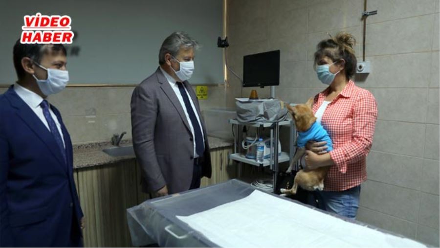 SOKAK HAYVANLARINA YARDIMDA BELEDİYE-ÜNİVERSİTE İŞBİRLİĞİ