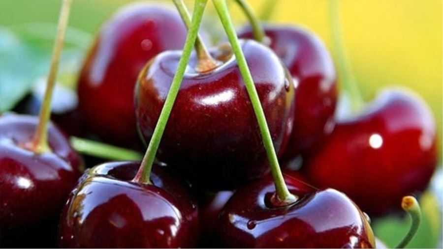 KİRAZ TÜKETMENİN TAM ZAMANI