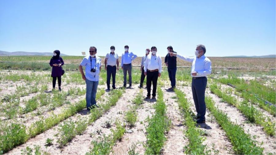 YERLİ VE MİLLİ TOHUMUN ULAŞAMADIĞI ÇİFTÇİ KALMAYACAK