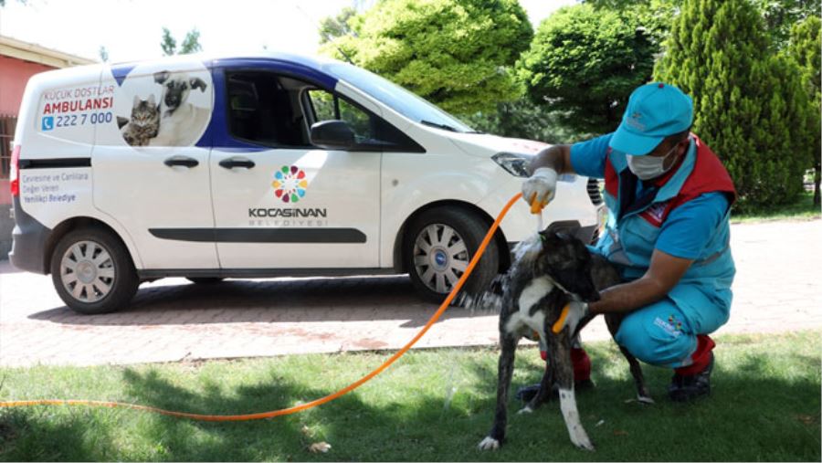 KÜÇÜK DOSTLARA BÜYÜK HASSASİYET