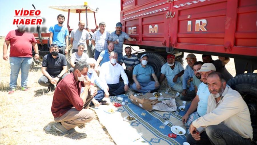 TOHUMLAR MAHSÜLE DÖNÜŞTÜ