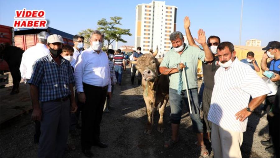 PALANCIOĞLU, KURBAN PAZARI DENETİMİNDE