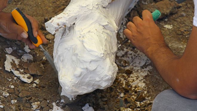 7,5 MİLYON YILLIK KAPLUMBAĞA 