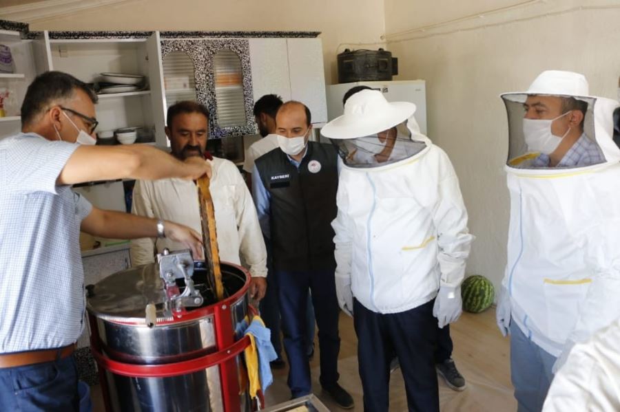 ARICILARIN ZORLU BAL MESAİSİ