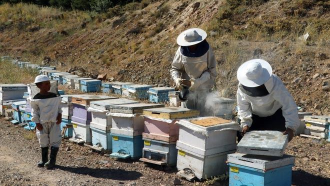 KALİTELİ BAL ÜRETİMİ İÇİN ERCİYES