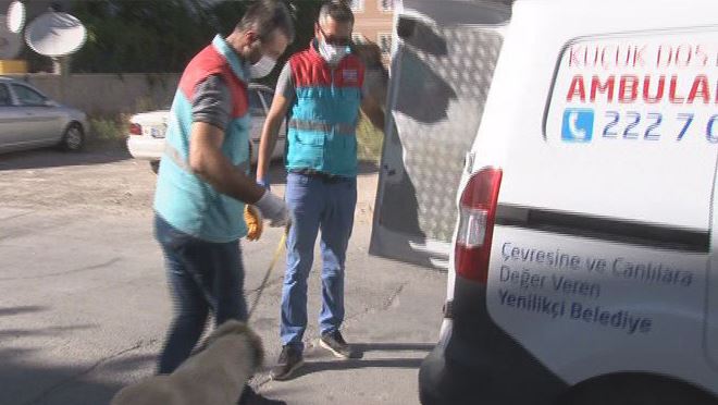 KÜÇÜK DOSTLAR AMBULANSI YARALI KÖPEĞE SAHİP ÇIKTI 