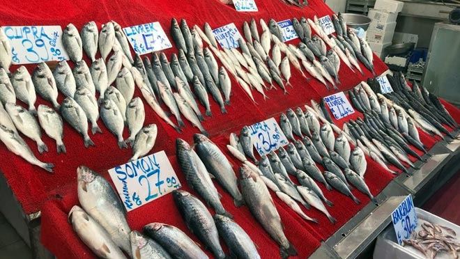 BALIKÇILAR YENİ SEZONDAN ÜMİTLİ