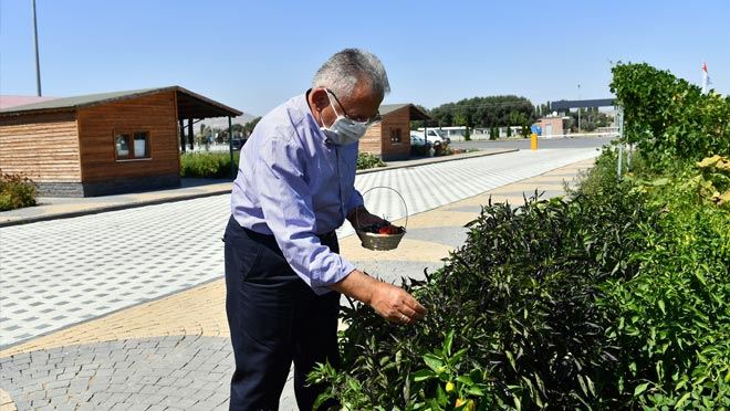 BAŞKAN BÜYÜKKILIÇ’TAN ORGANİK TARIMA DESTEK, VATANDAŞA DAVET