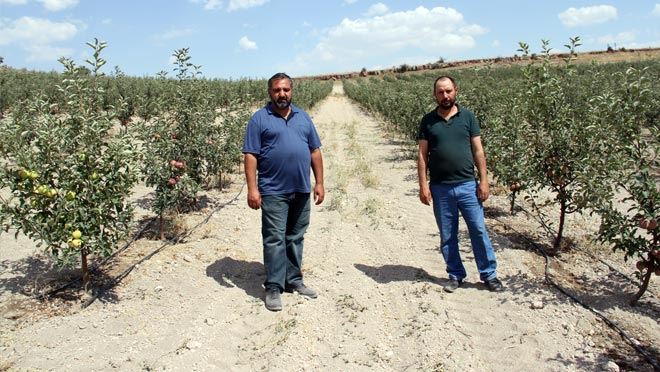 KAYSERİLİ KARDEŞLER DEVLET DESTEĞİYLE ELMA BAHÇESİ KURDU