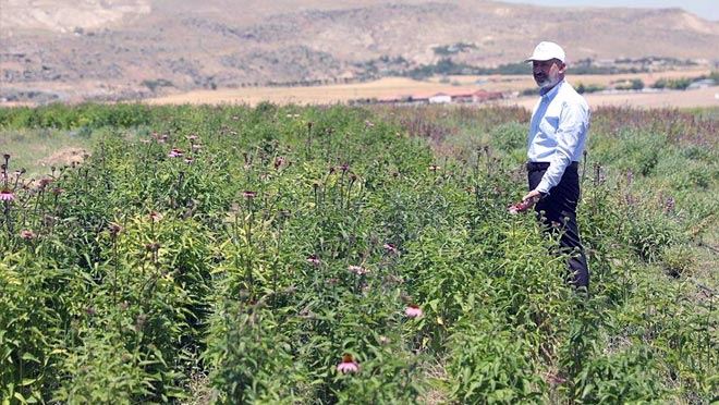 TÜRKİYE’NİN EN KAPSAMLI FİDANLIĞI KOCASİNAN’DA