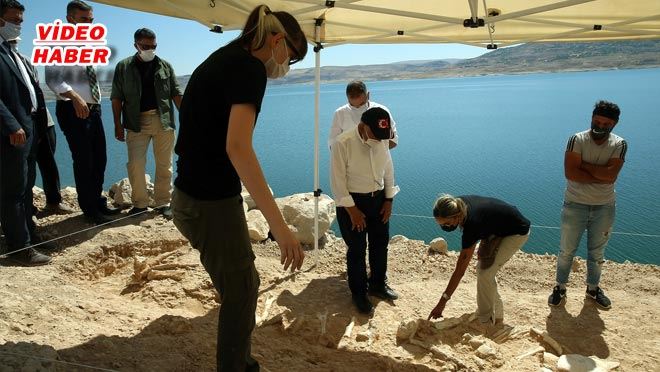 ANADOLU’NUN GÖBEĞİ’NDE ‘FOSİL’ HAZİNESİ