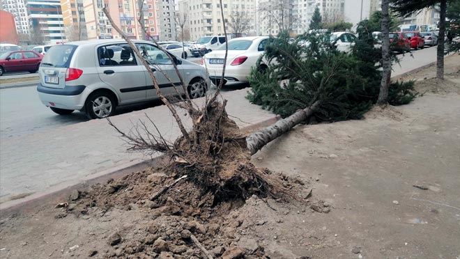 FIRTINA HAYATI OLUMSUZ ETKİLEDİ