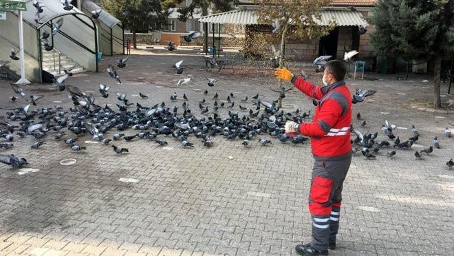 KISITLAMADA SOKAK HAYVANLARI UNUTULMADI