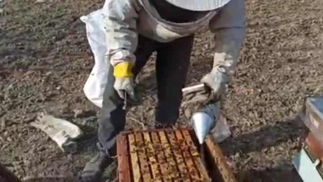 HAVA SICAKLIKLARI BAL ÜRETİCİLERİNİ ENDİŞELENDİRDİ