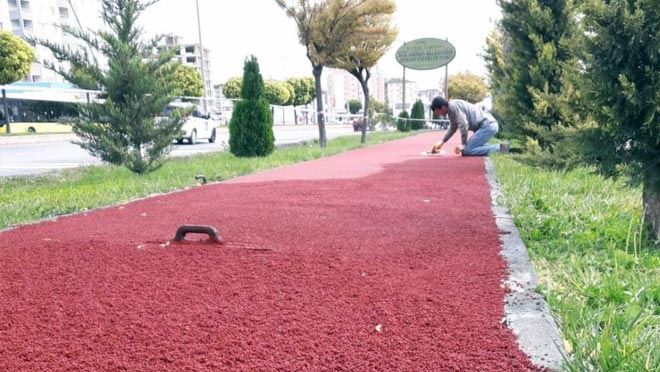 KOCASİNAN’DA SONBAHAR BAKIMI