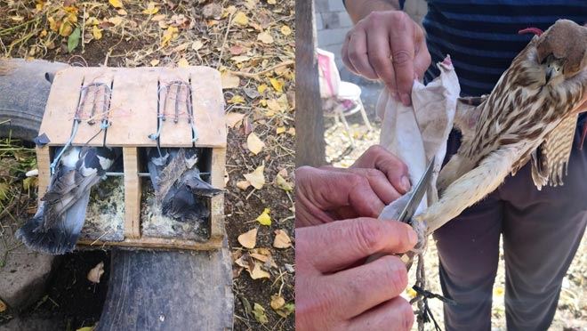 HÜRMETÇİ SAZLIĞI’NDA YASA DIŞI AV MALZEMELERİ ELE GEÇİRİLDİ