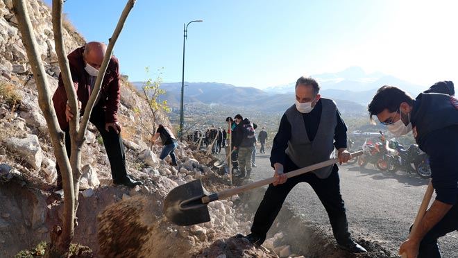YALÇIN: “YAZ DEMEDEN, KIŞ DEMEDEN AĞAÇ DİKELİM!”