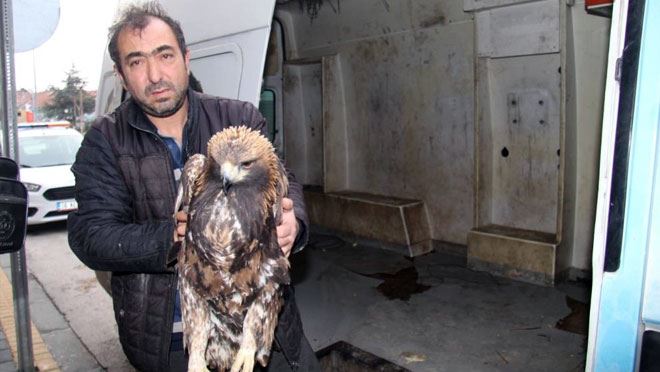 YARALI KARTALA BÜNYAN BELEDİYESİ SAHİP ÇIKTI