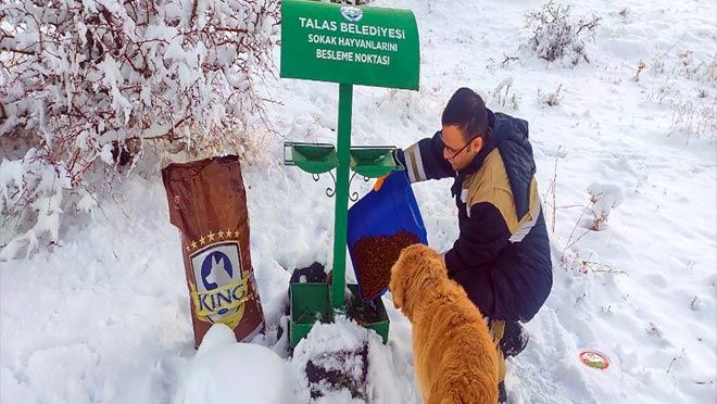 CAN DOSTLAR İÇİN 40 BESLEME NOKTASI