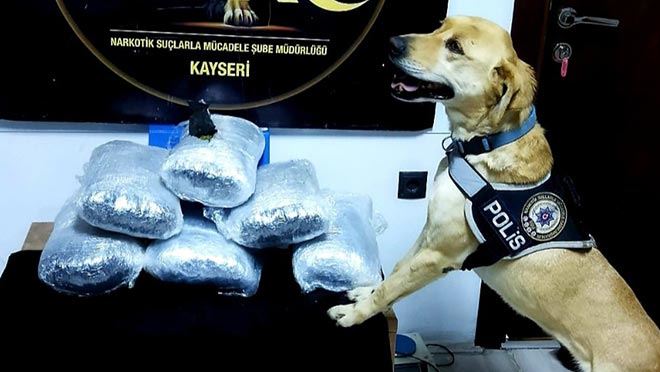 4 ŞAHIS UYGULAMA NOKTASINDA 8.5 KİLO ESRARLA YAKALANDI 