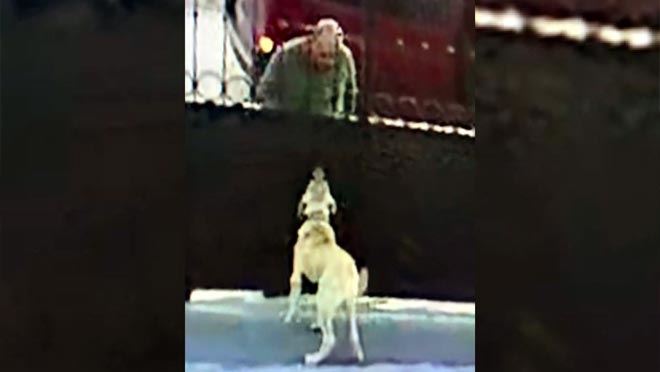 ÖNCE TEST ETTİ, SONRA ÇALDI