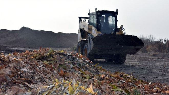 KURU YAPRAKLAR ORGANİK GÜBREYE DÖNÜŞÜYOR