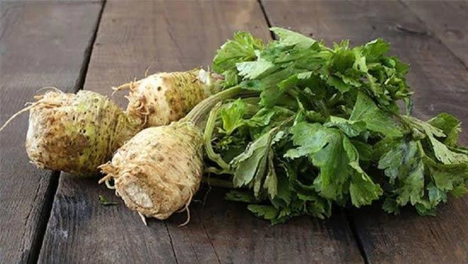 “KEREVİZ” DEYİP GEÇMEYİN BOL BOL TÜKETİN