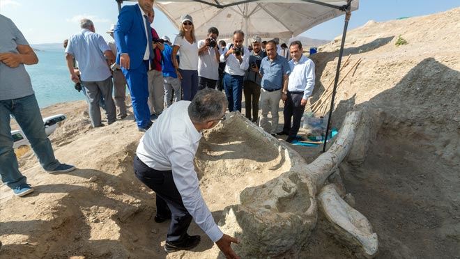 KAYSERİ’NİN FOSİLLERİ DÜNYANIN İLGİSİNİ ÇEKİYOR