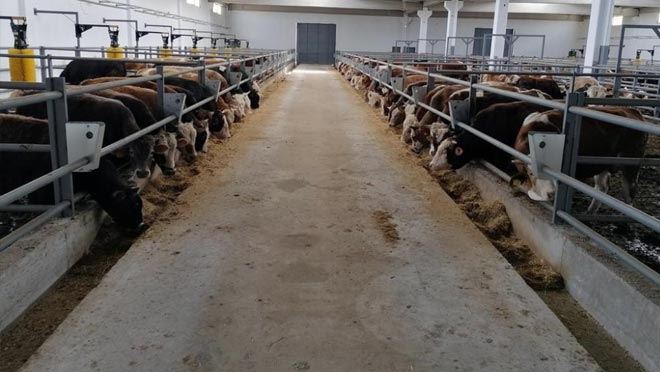 BEYDEĞİRMENİ’NDE HAYVAN YETİŞTİRİCİLİĞİNE BAŞLANDI