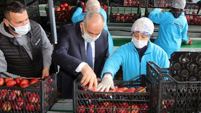“ELMA ÜRETİCİLERİNİN SORUNLARINI ÇÖZMEK İSTİYORUZ”