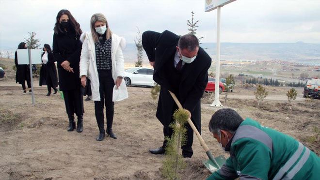 KAYSERİ BAROSU KADINLAR GÜNÜ’NDE AĞAÇ DİKTİ