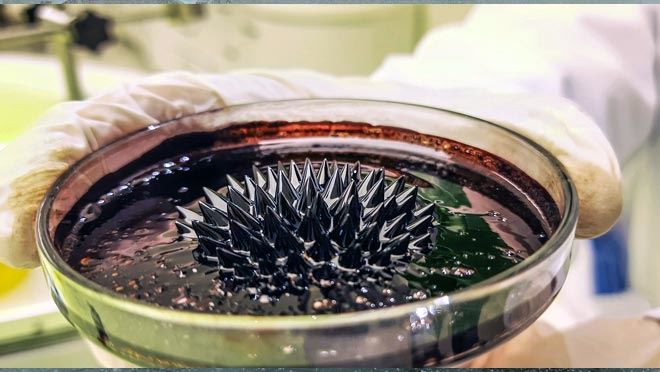 KAYSERİ BİLİM MERKEZİ BİR BAŞARIYA DAHA İMZA ATTI