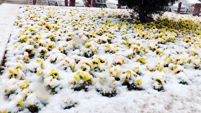 KAYSERİ’YE 40 YIL SONRA NİSAN KARI YAĞDI