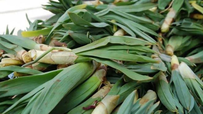 DİKKAT UZMANLAR UYARIYOR!