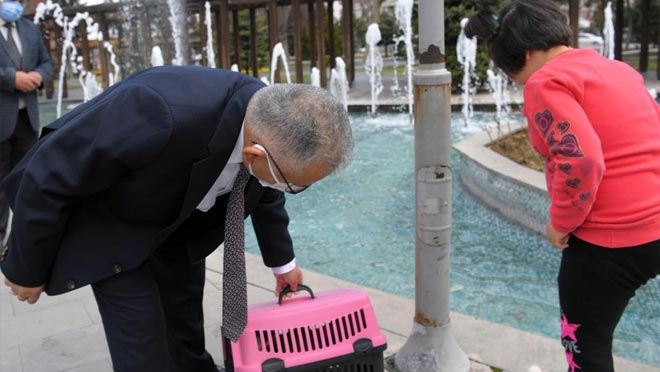 OTİZMLİ AYŞE NİSA’YA ‘KEDİ’ SÜRPRİZİ