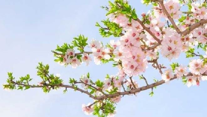 DİKKAT  UZMANLAR  UYARIYOR !