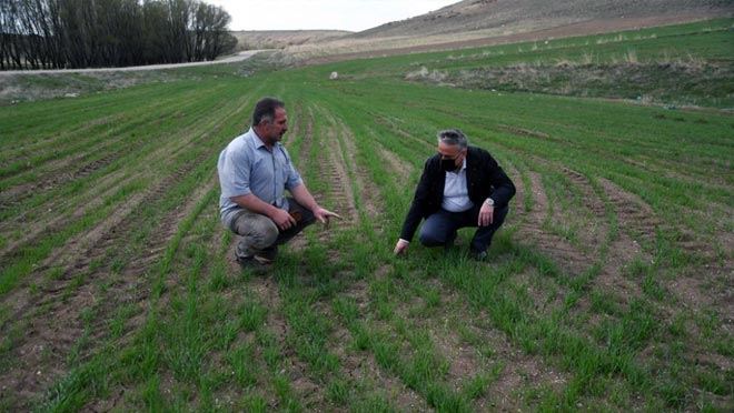 KAYSERİ ÇİFTÇİSİ BUĞDAYA YÖNELİYOR
