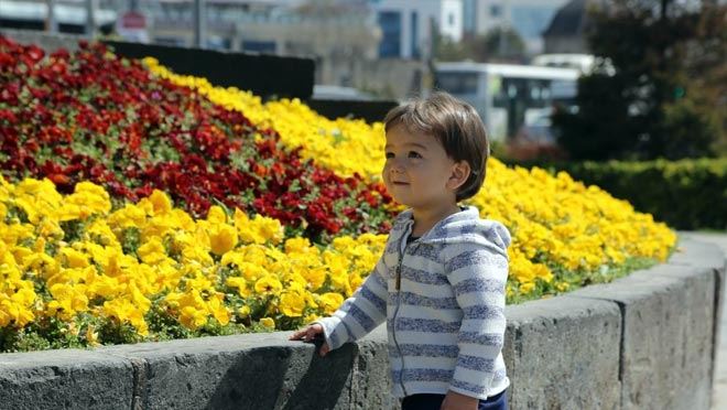 KAYSERİ ÇİÇEK BAHÇESİNE DÖNDÜ