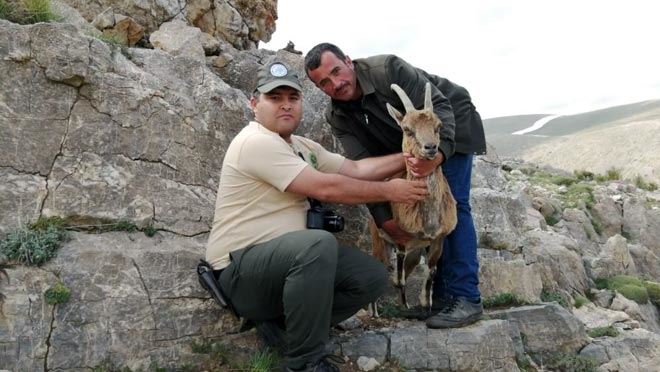 YABAN HAYATI GELİŞTİRME SAHASI