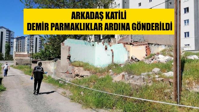ARKADAŞ KATİLİ