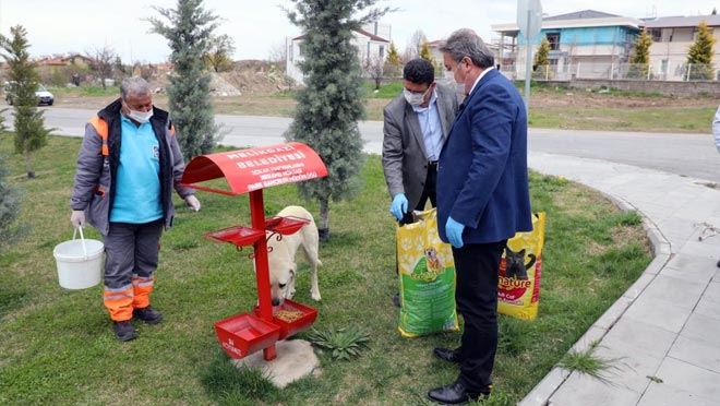 MELİKGAZİ BELEDİYESİ TAM KAPANMADA SOKAK HAYVANLARINI UNUTMADI