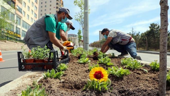 TALAS ÇİÇEK AÇIYOR