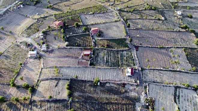 ÜZÜMÜYLE MEŞHUR İNCESU