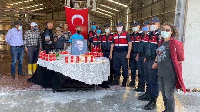 KAVGA İHBARINA GELEN JANDARMA EKİPLERİNE SÜRPRİZ