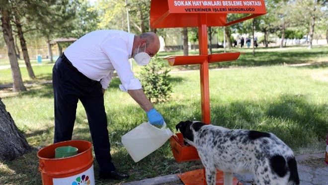 SOKAK HAYVANLARI İÇİN 70 ADET BESLENME NOKTASI