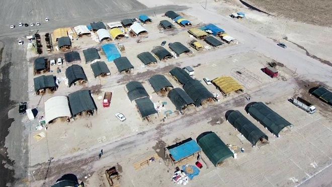 KOCASİNAN KURBAN PAZARI MÜŞTERİLERİNİ BEKLİYOR