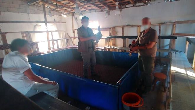 HOROZ DÖVÜŞTÜREN ŞAHSA 26 BİN 55 TL CEZA