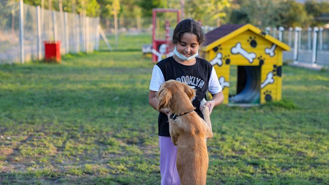 HAYVANSEVERLERDEN PATİYOL’A ÖZEL TEŞEKKÜR
