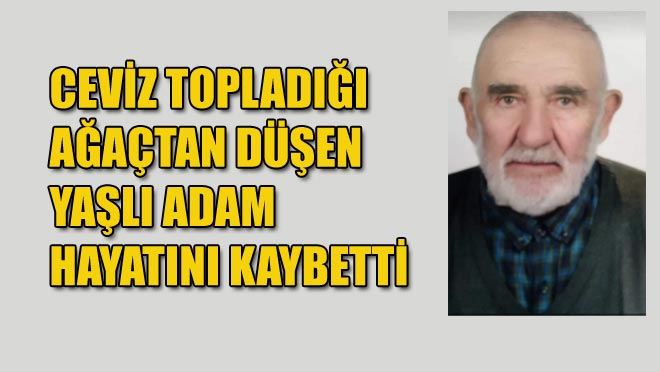 CEVİZ TOPLADIĞI AĞAÇTAN DÜŞEN YAŞLI ADAM HAYATINI KAYBETTİ